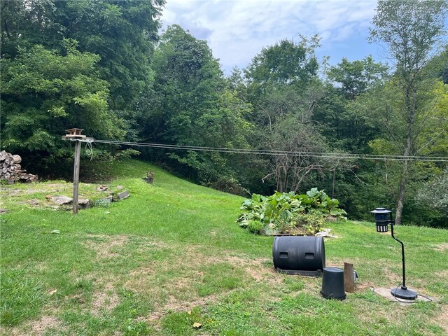 340 Mine Hill Rd, German Twp, PA 15410 - view of yard featuring a view of trees