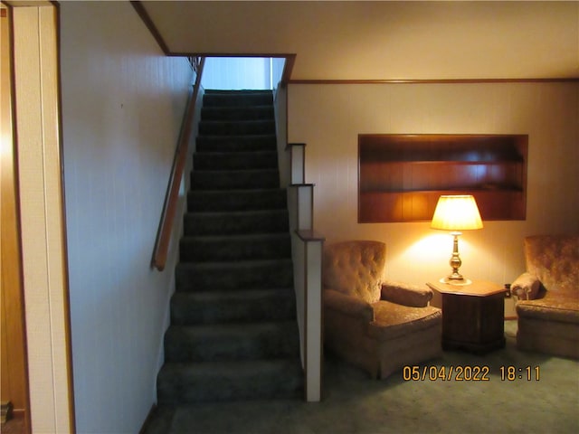 stairway featuring carpet floors