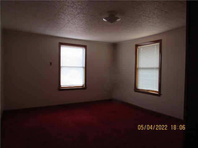 unfurnished room with carpet floors