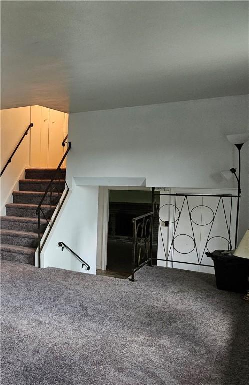 stairway with carpet flooring