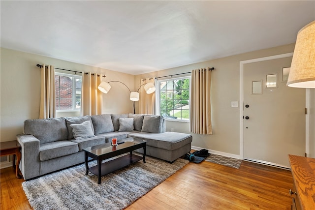 living room with hardwood / wood-style flooring