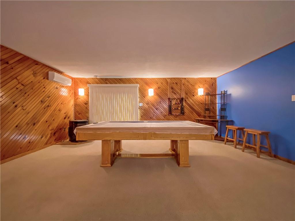 playroom featuring wood walls and carpet flooring