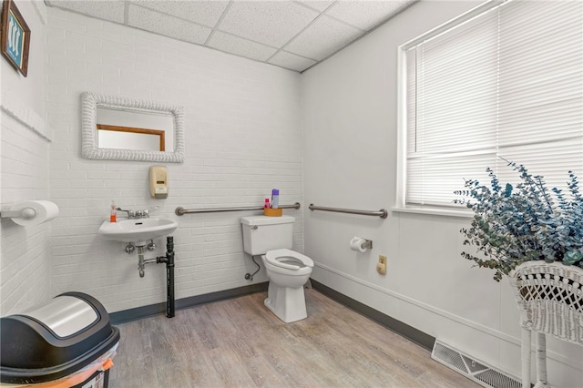 bathroom with wood-type flooring, toilet, sink, and a paneled ceiling