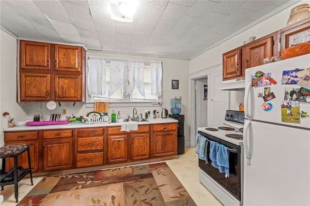 kitchen featuring sink, crown molding, white appliances, and wall chimney exhaust hood