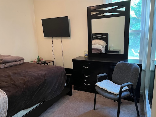 bedroom featuring carpet floors