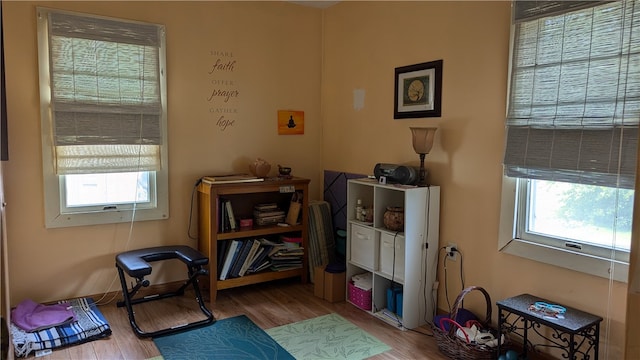 miscellaneous room featuring a healthy amount of sunlight and light hardwood / wood-style floors