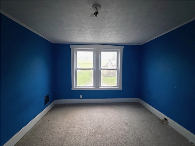 spare room featuring carpet and a textured ceiling