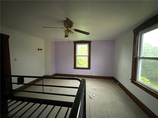 interior space with carpet and ceiling fan