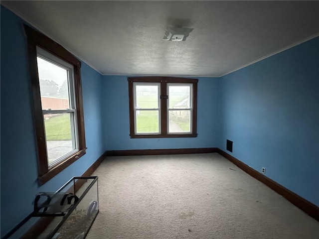 carpeted spare room featuring ornamental molding and a textured ceiling