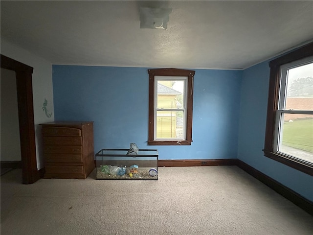 spare room with carpet