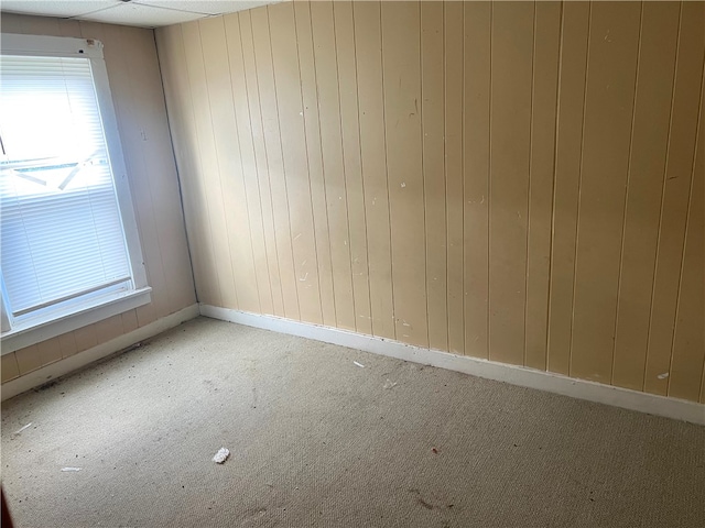 spare room featuring a wealth of natural light and light colored carpet