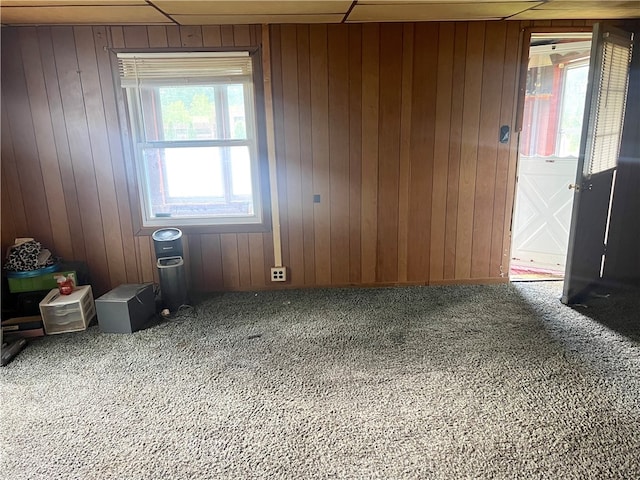 carpeted spare room featuring wood walls and plenty of natural light