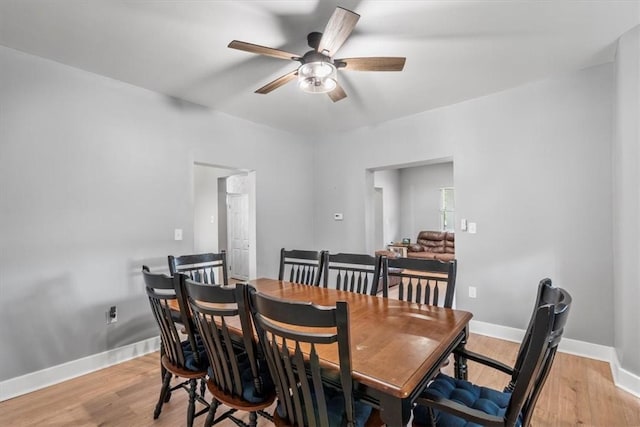 dining room with light hardwood / wood-style floors and ceiling fan