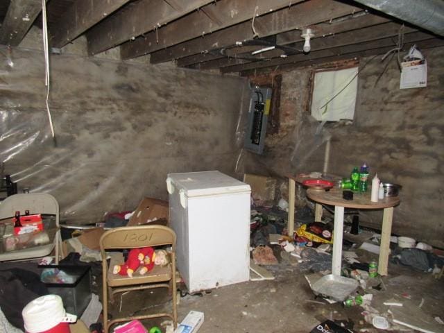 basement with fridge