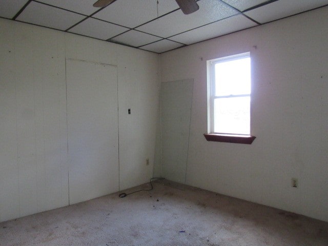 empty room featuring a drop ceiling, light colored carpet, and ceiling fan