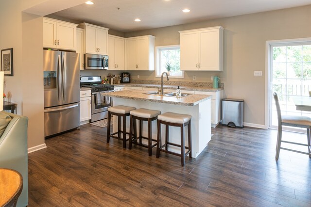 kitchen with appliances with stainless steel finishes, a healthy amount of sunlight, sink, and dark wood-type flooring