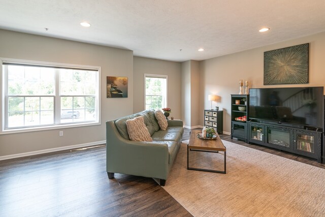 living room with dark hardwood / wood-style floors