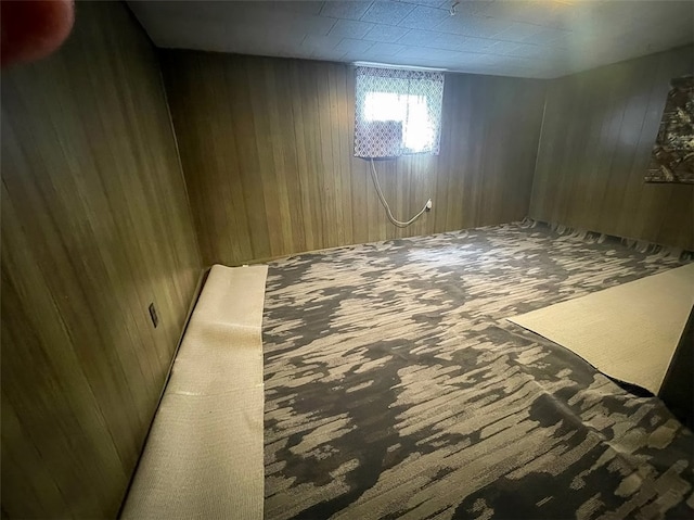 basement with wood walls and carpet floors