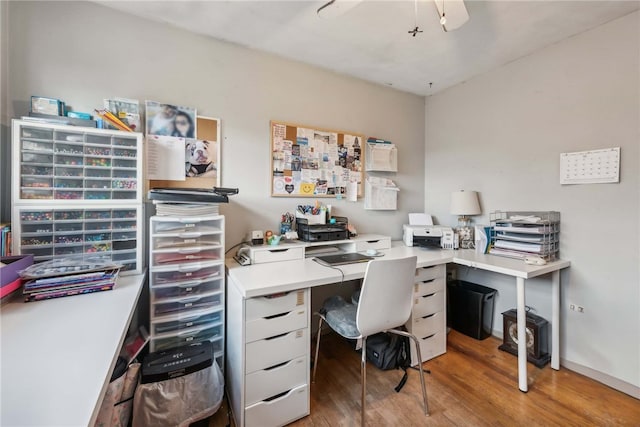 office featuring light hardwood / wood-style flooring and ceiling fan