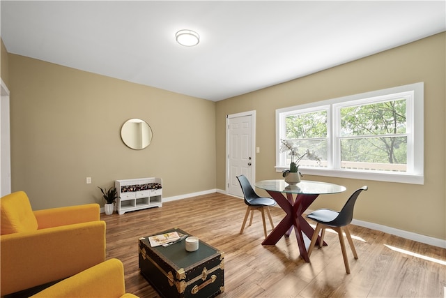 interior space with wood-type flooring