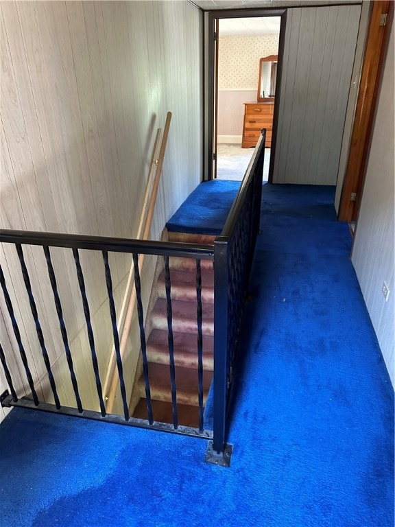 stairs with carpet flooring