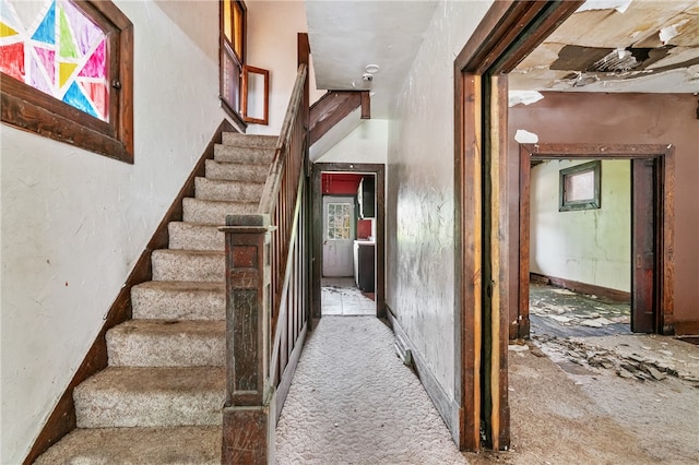 staircase with light carpet