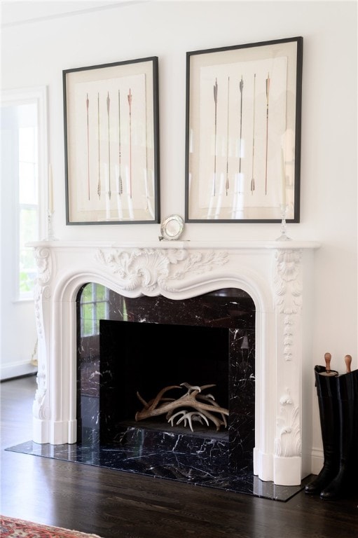 room details featuring hardwood / wood-style flooring and a fireplace