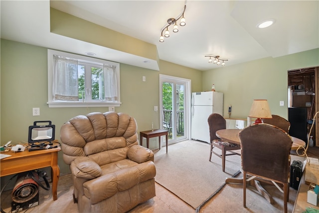 living room with rail lighting