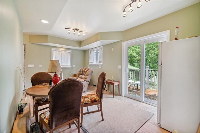 dining space with rail lighting and a healthy amount of sunlight