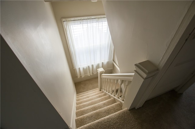 stairway featuring carpet flooring