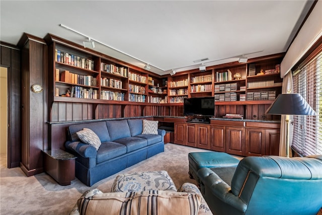 interior space featuring built in shelves, built in desk, light carpet, and track lighting