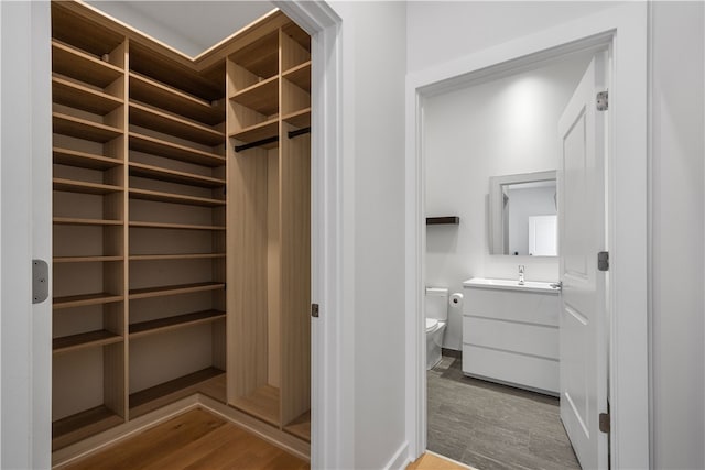 spacious closet featuring sink