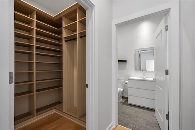walk in closet featuring wood finished floors and a sink