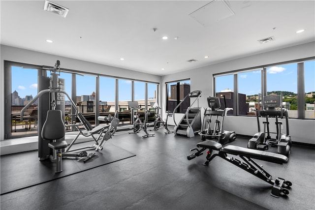 workout area featuring a wealth of natural light