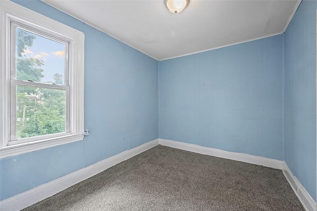 unfurnished room featuring carpet