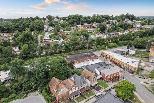 bird's eye view