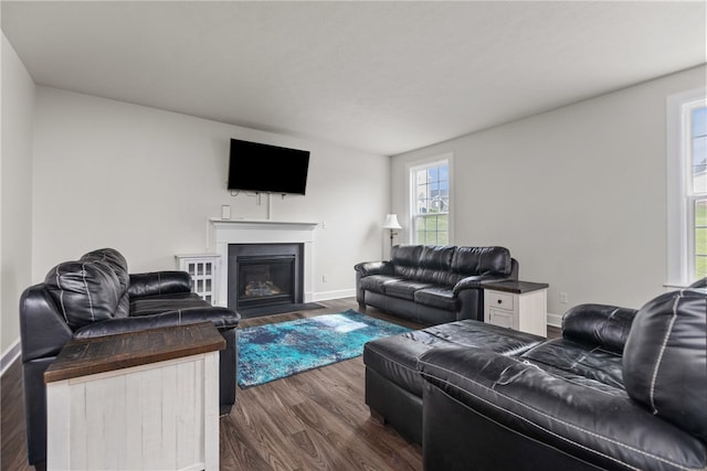 living room featuring dark hardwood / wood-style flooring