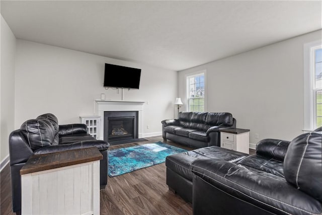 living room featuring dark wood-type flooring