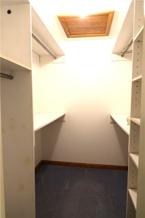 spacious closet featuring carpet floors