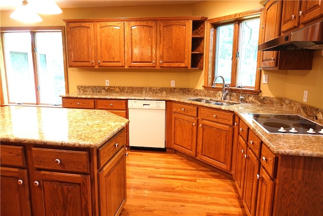 kitchen with light wood-type flooring, electric stovetop, dishwasher, light stone counters, and sink