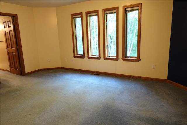 spare room with carpet