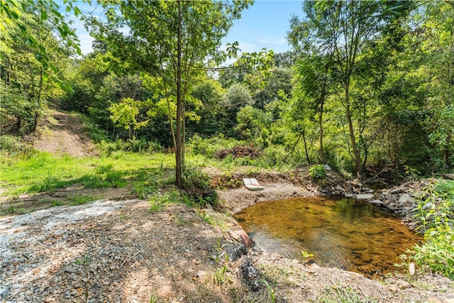 view of landscape featuring a water view