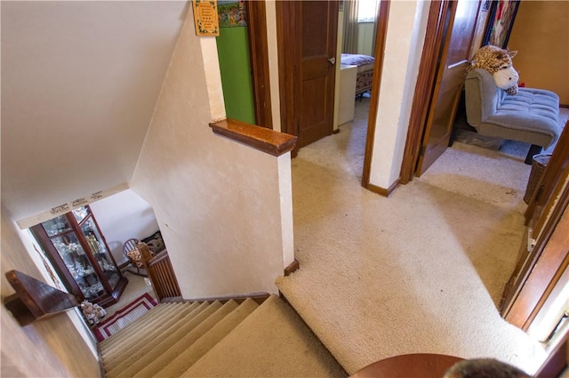 stairs with carpet