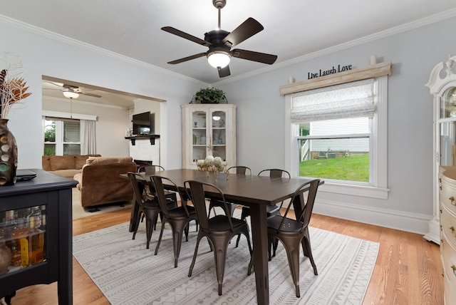 dining space with light hardwood / wood-style flooring, ornamental molding, and ceiling fan