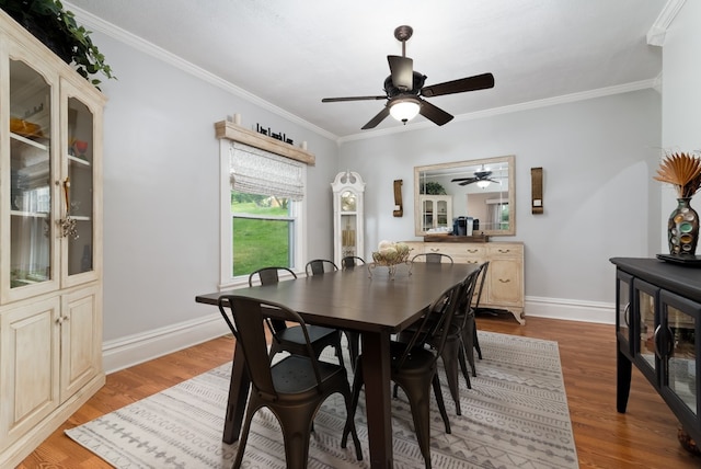 dining room with ornamental molding, ceiling fan, and light hardwood / wood-style floors