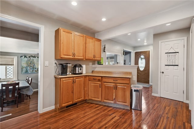 kitchen featuring dark wood-type flooring