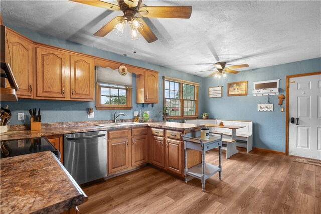 kitchen with ceiling fan, dark hardwood / wood-style floors, sink, and stainless steel dishwasher