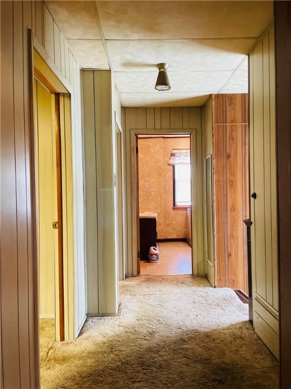 hallway featuring carpet and wooden walls