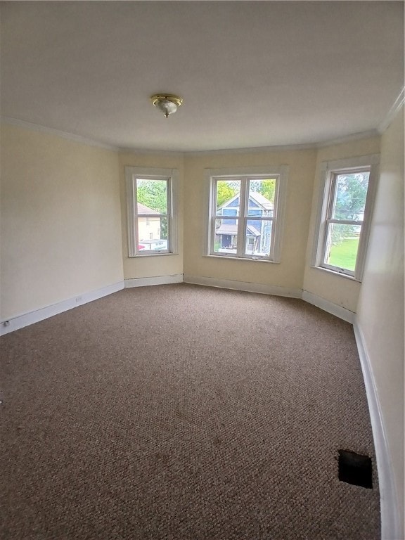 spare room featuring a wealth of natural light, carpet flooring, and crown molding