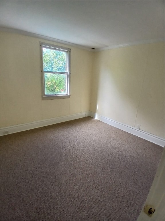 empty room with ornamental molding and carpet floors